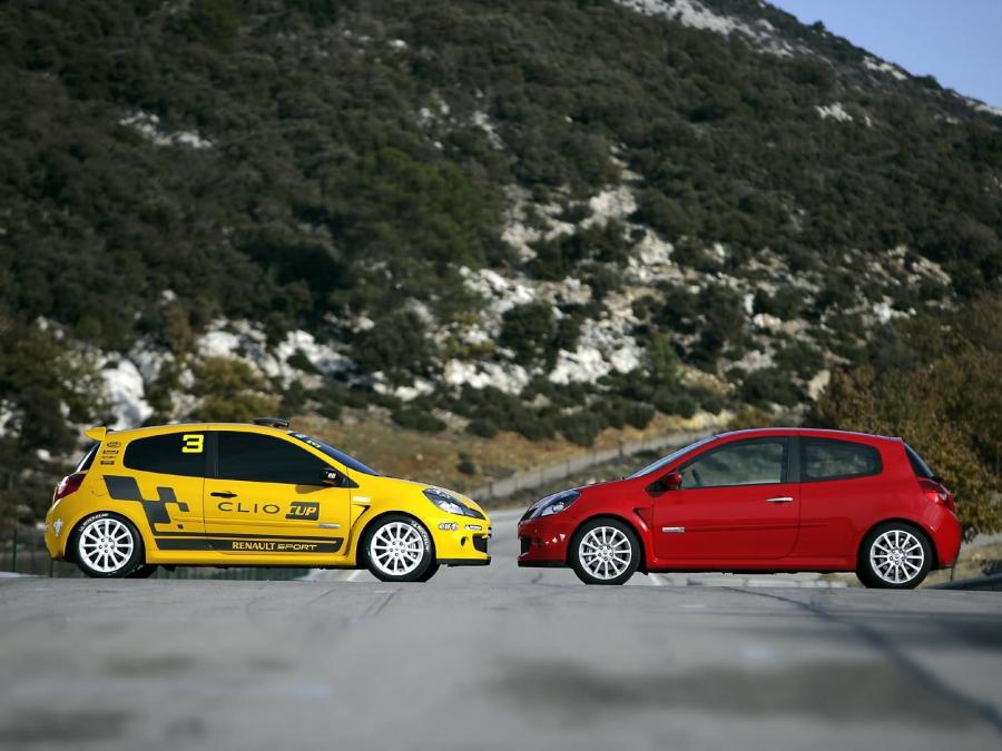  Renault Clio Cup RS 2006 года  (фото 5 из 11)